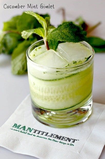 bar louie cucumber gimlet recipe