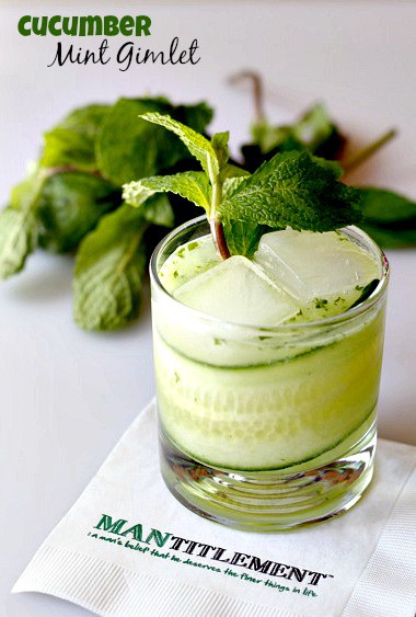 These refreshing Cucumber Mint Gimlets are perfect for sipping on warm days! cucumber mint gimlet in glass on napkin