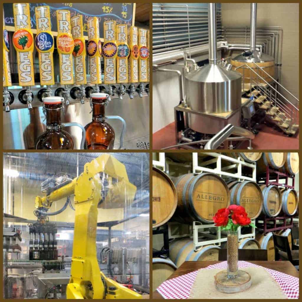 beer collage from Troegs brewery