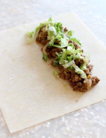 egg roll wrapper with filling for homemade egg rolls