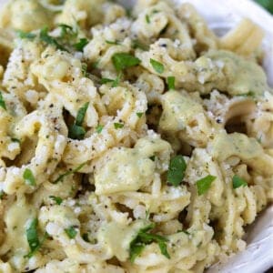 Zucchini Pasta sauce on cascatelli pasta