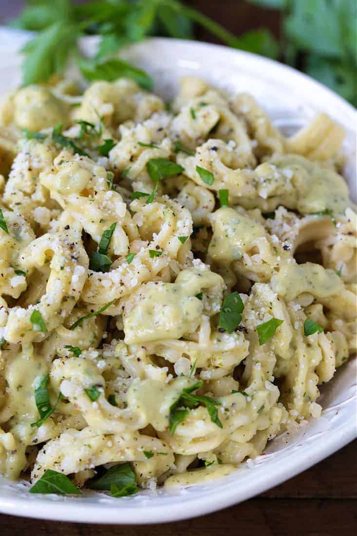 Zucchini Pasta sauce on cascatelli pasta