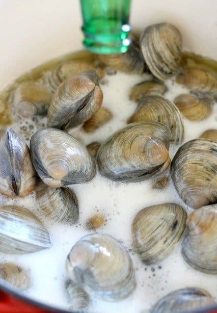 We love making Steamers in Beer all year long! So full of flavor, you don't even need butter, but of course butter is always welcome! Recipe For Steamers cooked In Beer