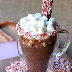 hot chocolate with marshmallows and peppermint