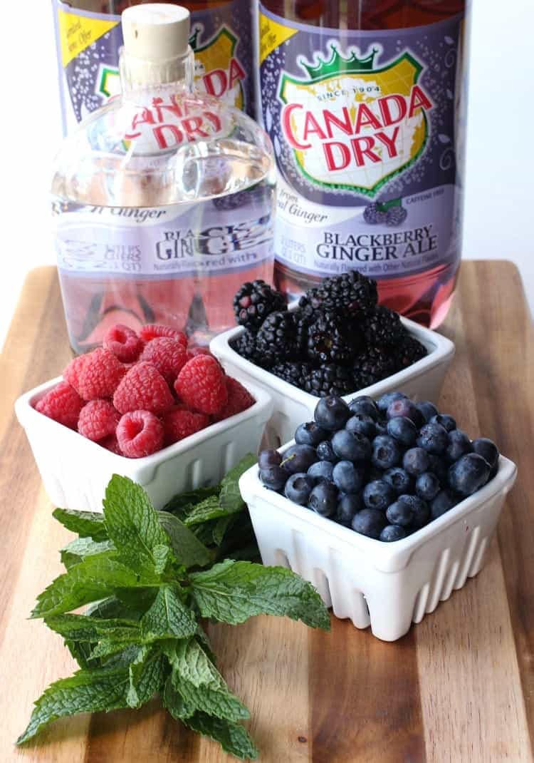 blackberry-vodka-punch-ingredients