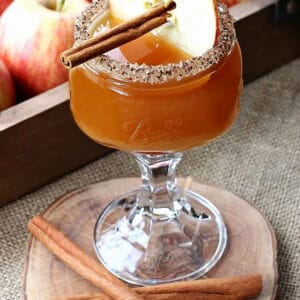 apple cider martini with cinnamon stick and apple garnish