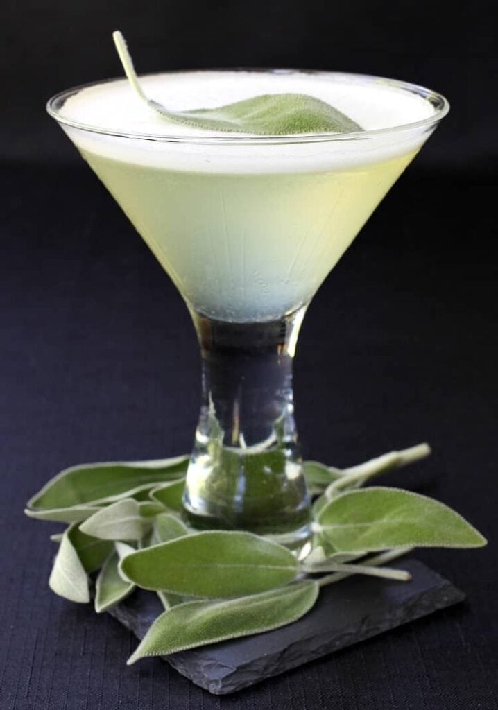 sage-gin-martini-single