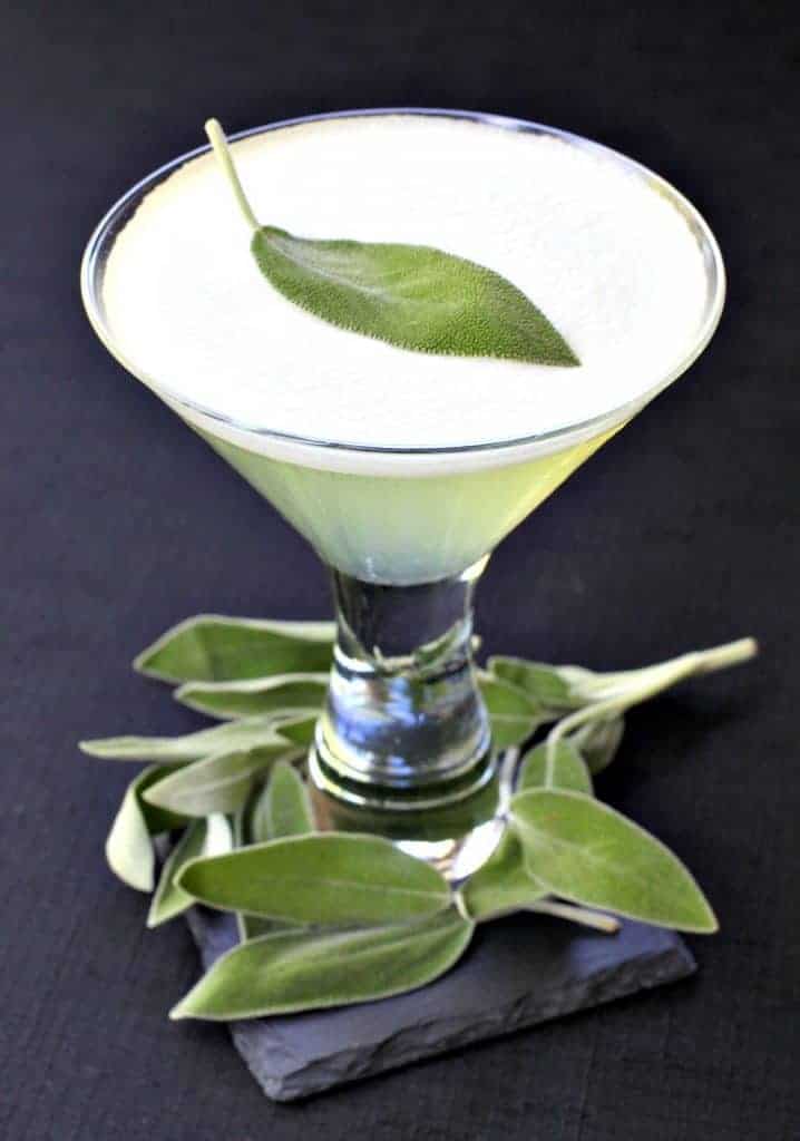 sage-gin-martini-topshot