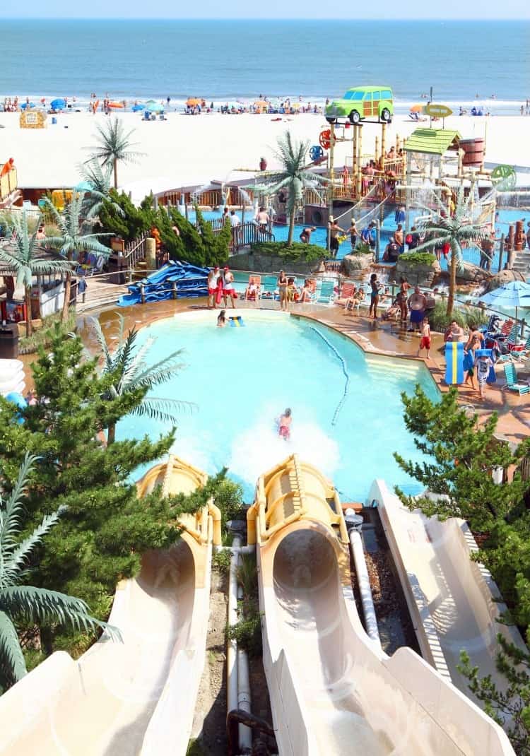 Ocean Oasis Slides