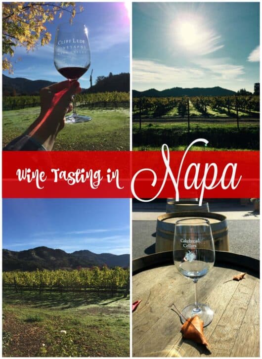Wine Tasting in Napa Mantitlement