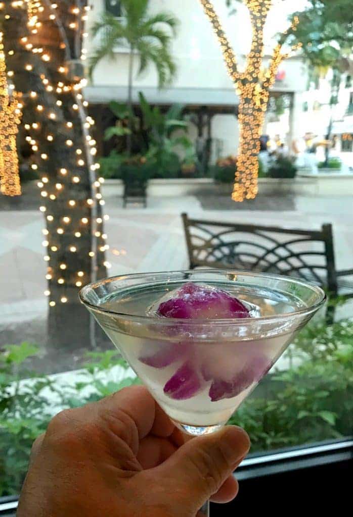 martini cocktail in restaurant window