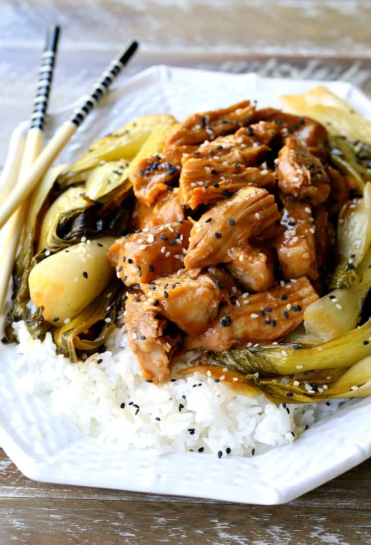 Slow cooker asian pork Slow cooker asian pork