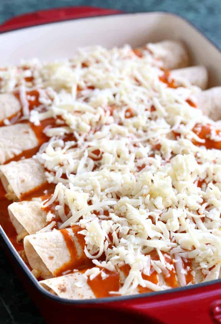 Chicken enchiladas in baking dish before baking