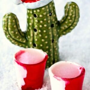 Frosty Peppermint Tequila Shots are a frozen tequila shot drink with mint flavor