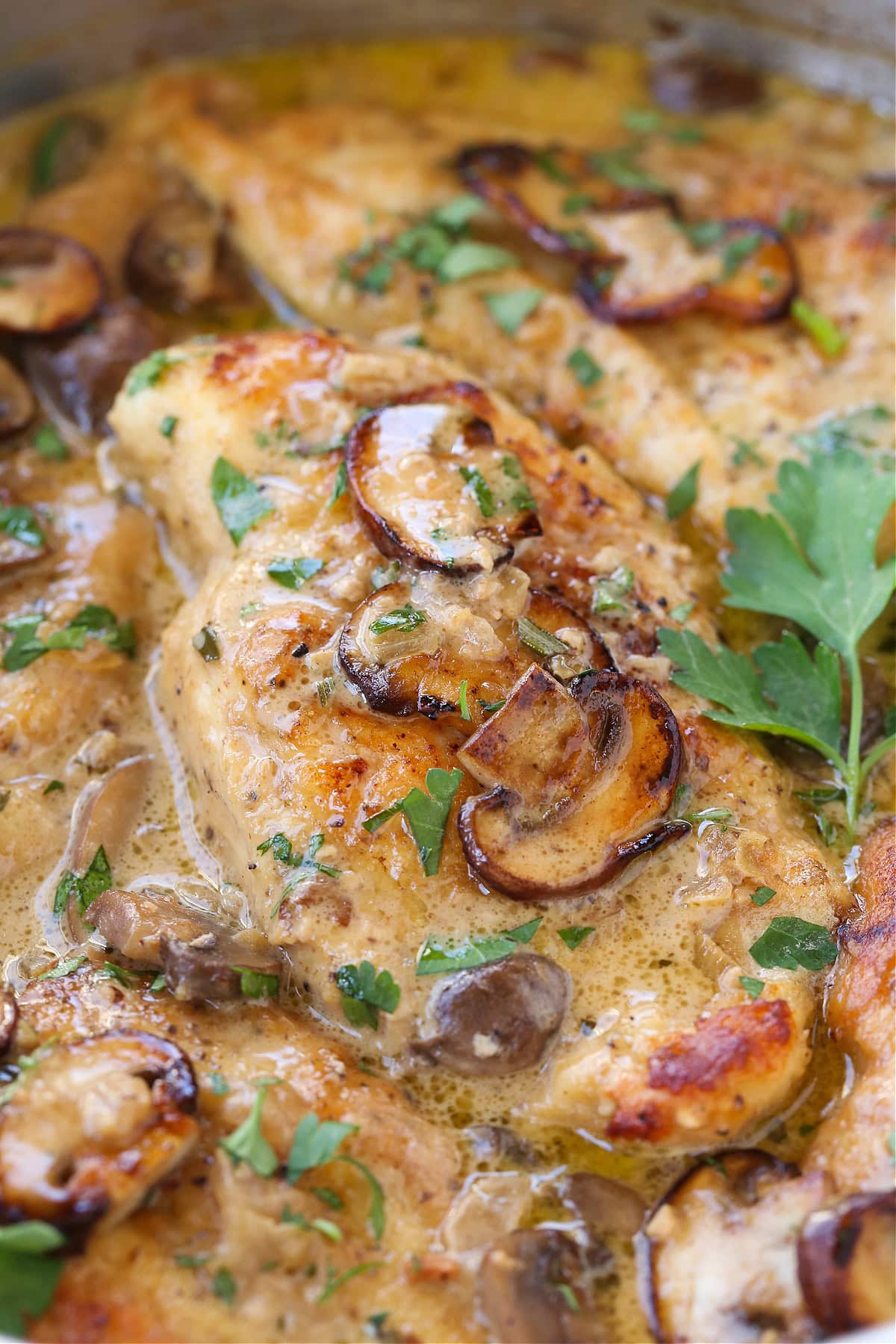 chicken marsala in a skillet with parsley