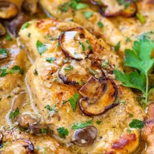 A close up of creamy chicken Marsala with mushrooms and parsley