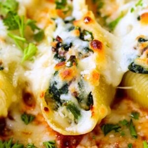 A close-up of a stuffed shell with meat, ricotta and spinach filling inside on a bed of tomato sauce.