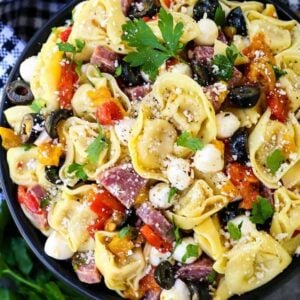 Italian Pasta Salad in a bowl from the top with parsley