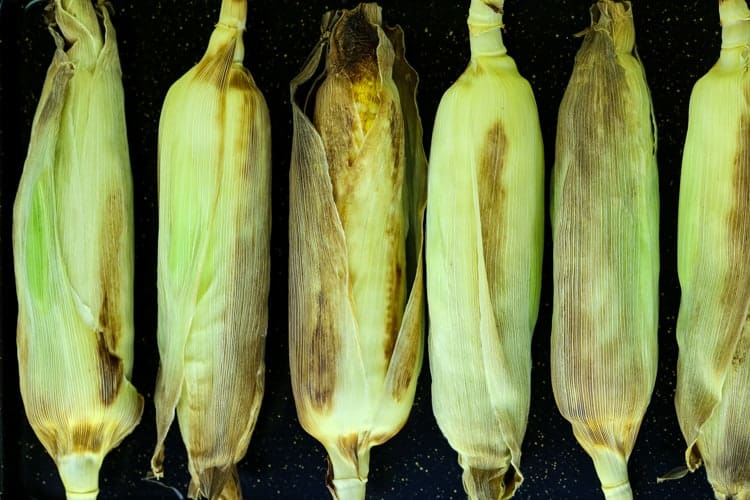 Oven Roasted Corn On The Cob cooked on a baking sheet