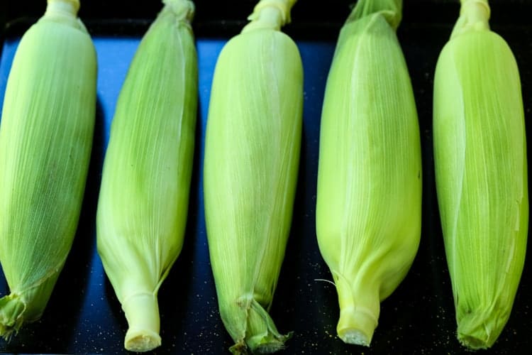 Corn on the cob ready for the oven