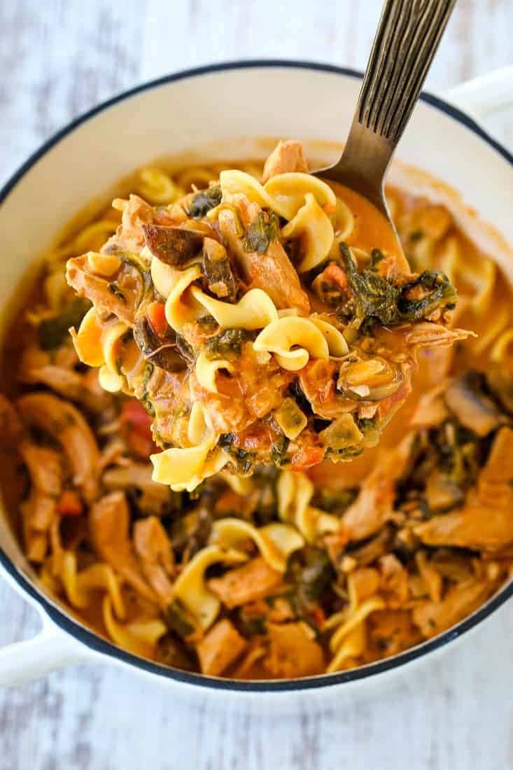 chicken cacciatore soup in a pot with a ladle