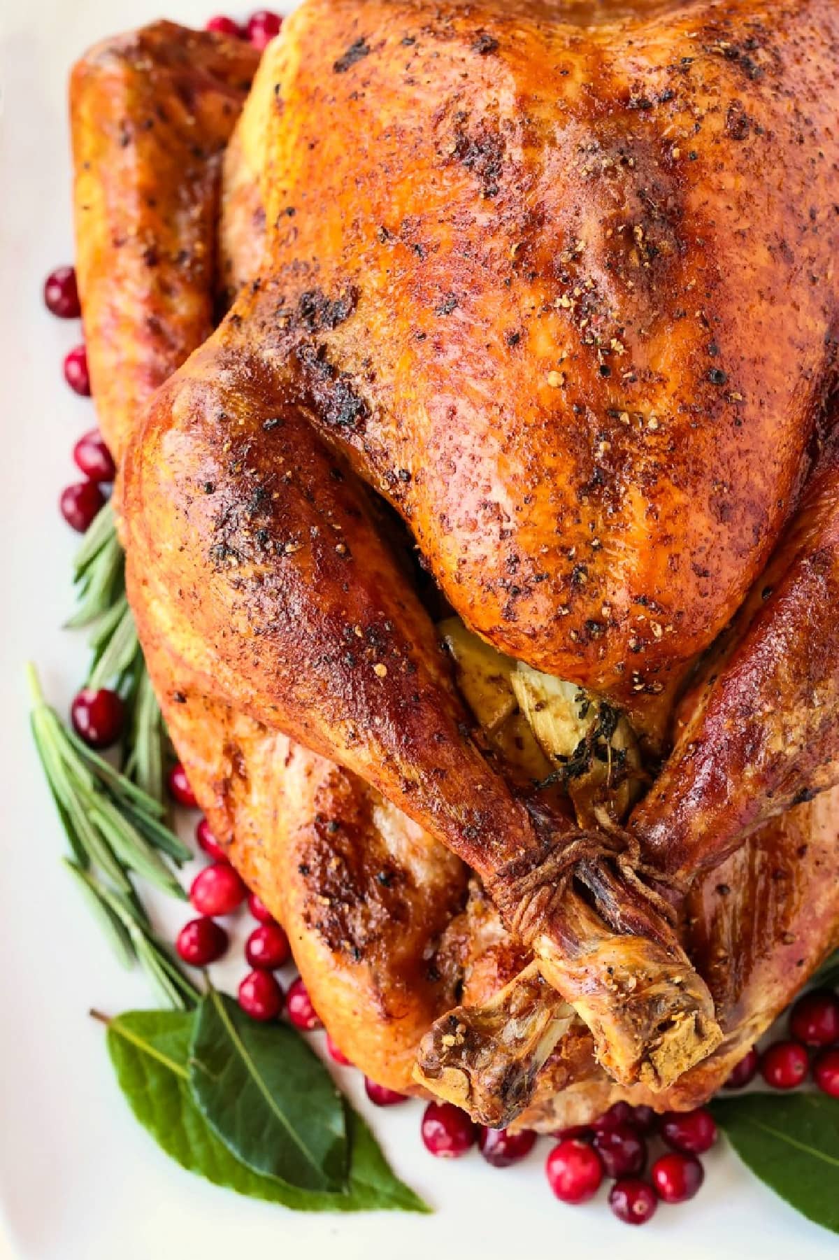 whole turkey on platter with bay leaves and cranberries