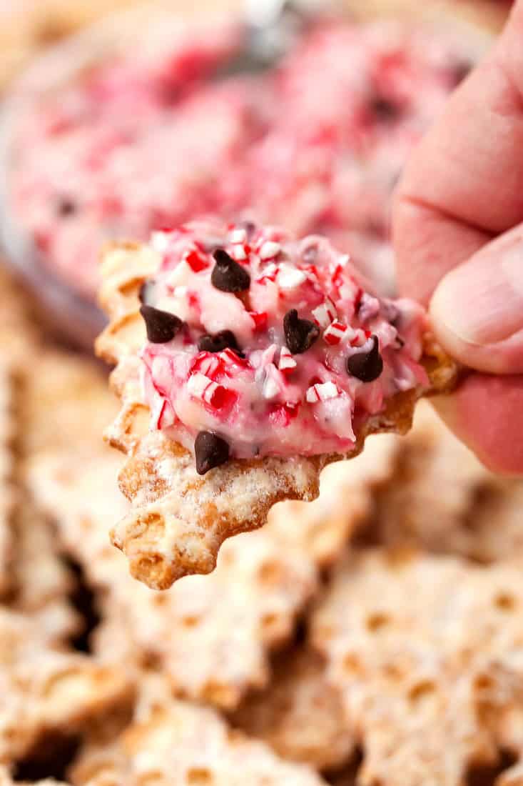 cannoli dip on a chip with peppermint and chocolate chips