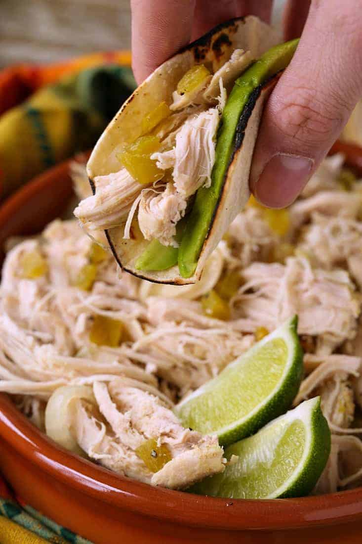 Slow Cooker Mexican Chicken is so full of flavor with just a few ingredients! Use this chicken for tacos, burritos, nachos, salads and more! Slow Cooker Mexican Chicken in a taco with avocado