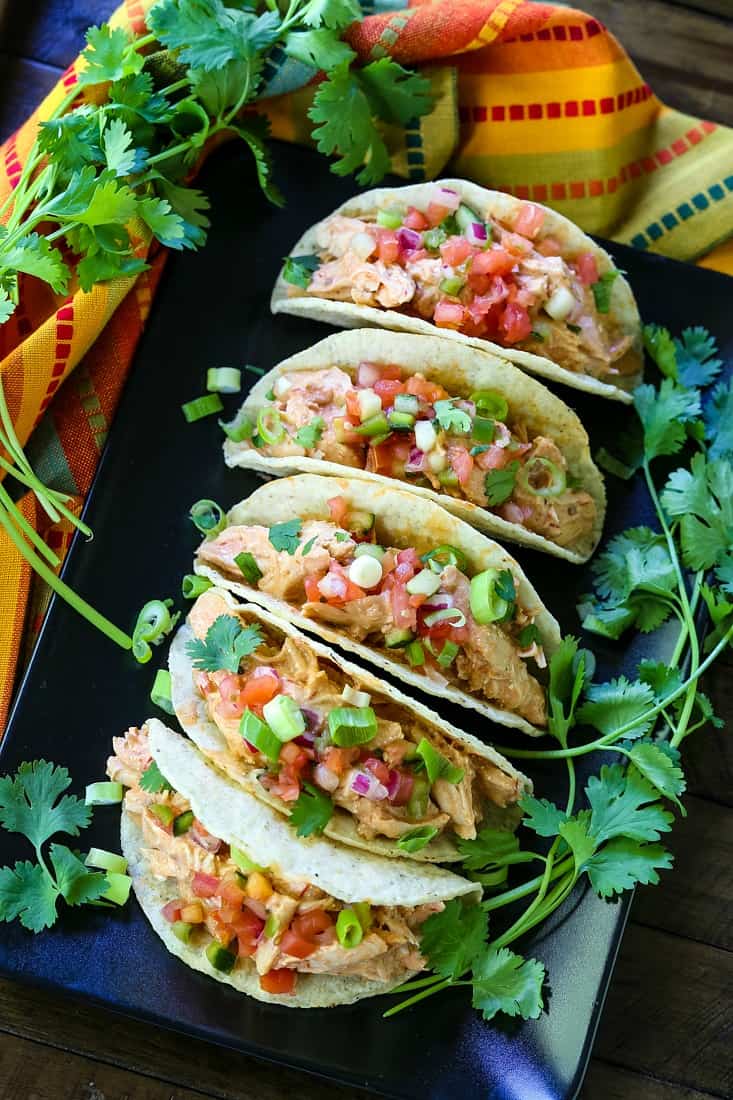 Creamy salsa chicken tacos with tomato and onion lined up on a plate surrounded by cilantro.