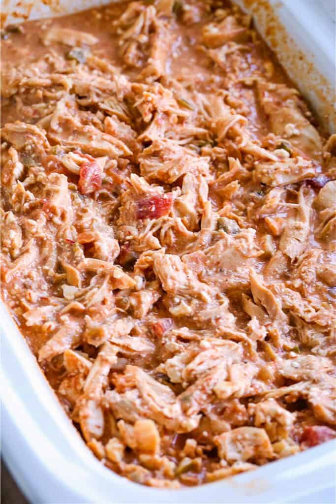 shredded chicken in creamy salsa sauce