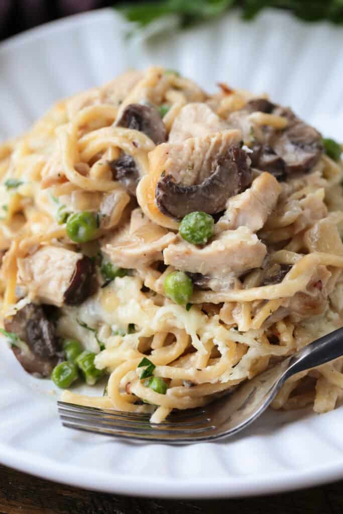 turkey tetrazzini on plate with fork