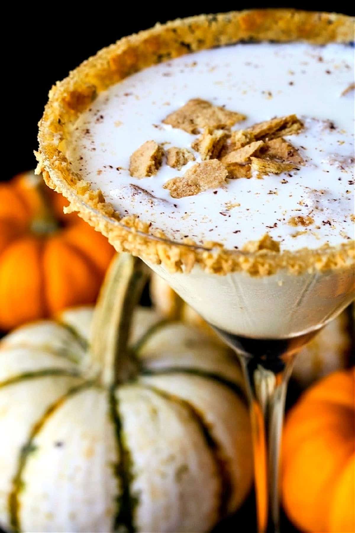 creamy pumpkin martini with pumpkins around the glass