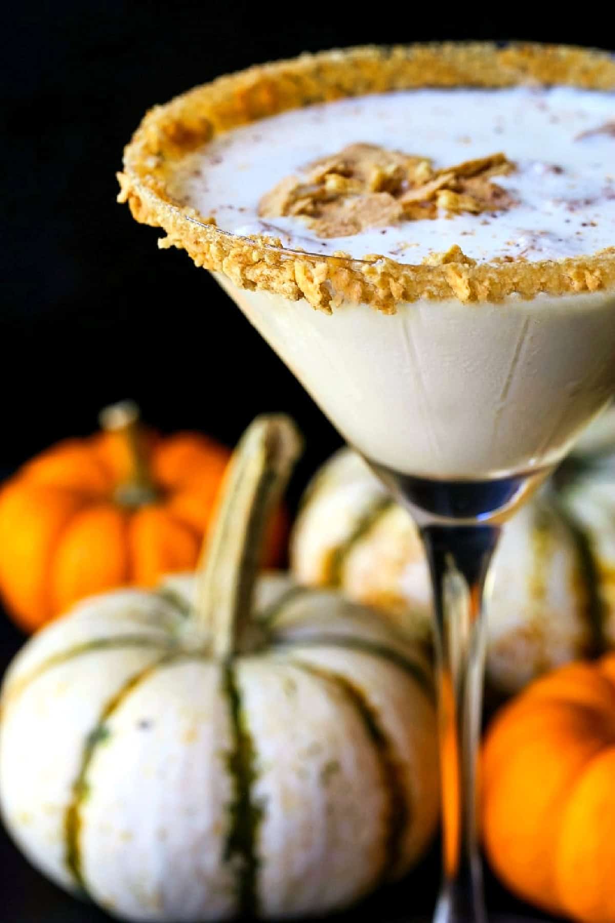 creamy pumpkin martini with a graham cracker rim and pumpkins in background