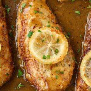 Chicken francese in a pan with a slice of lemon