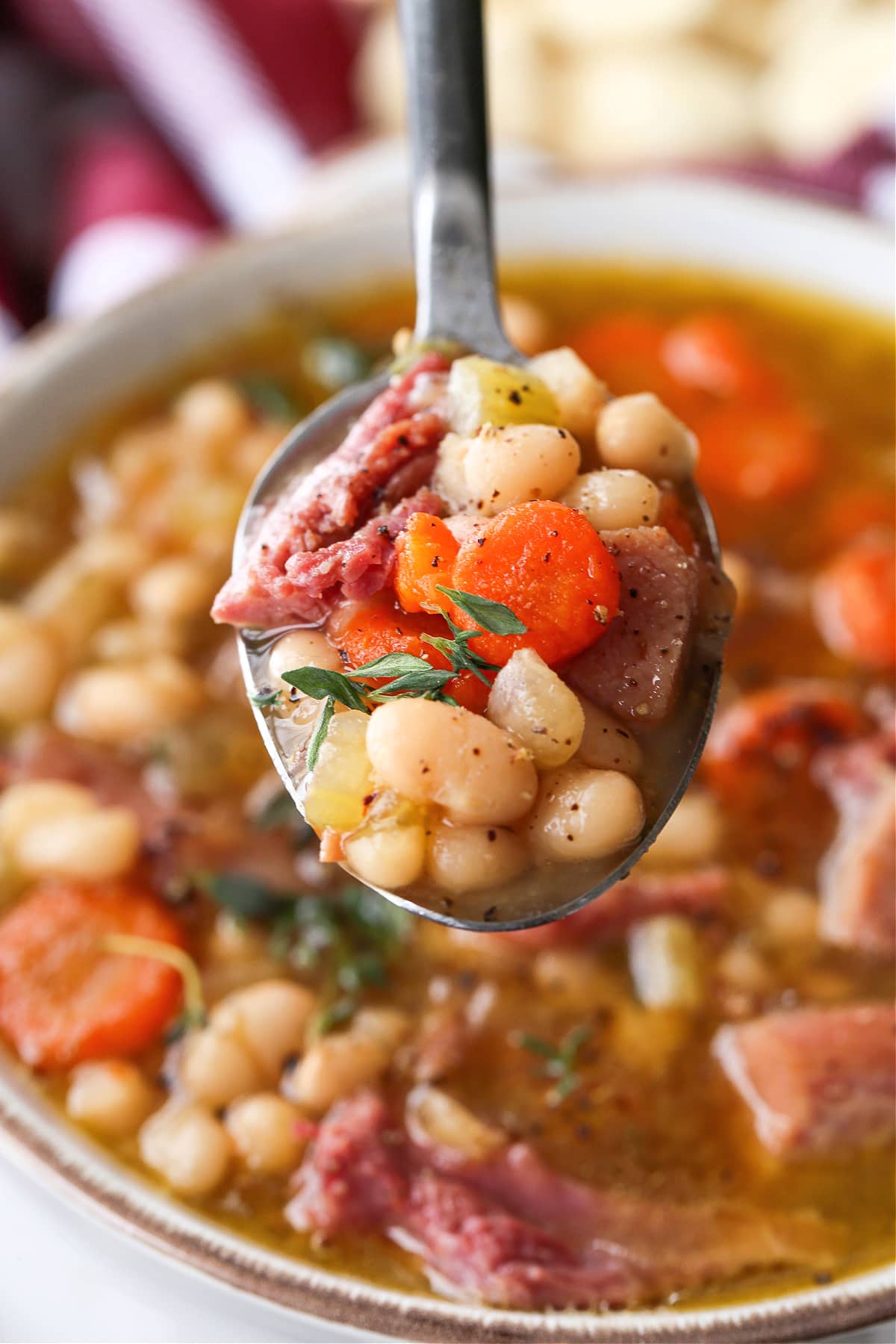 Make this comforting Navy Bean Soup with your leftover ham bone! A hearty soup loaded with vegetables in a homemade ham bone broth. navy bean soup on a spoon over a bowl