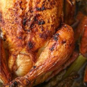 Roasted chicken in a in a baking dish with carrots and celery
