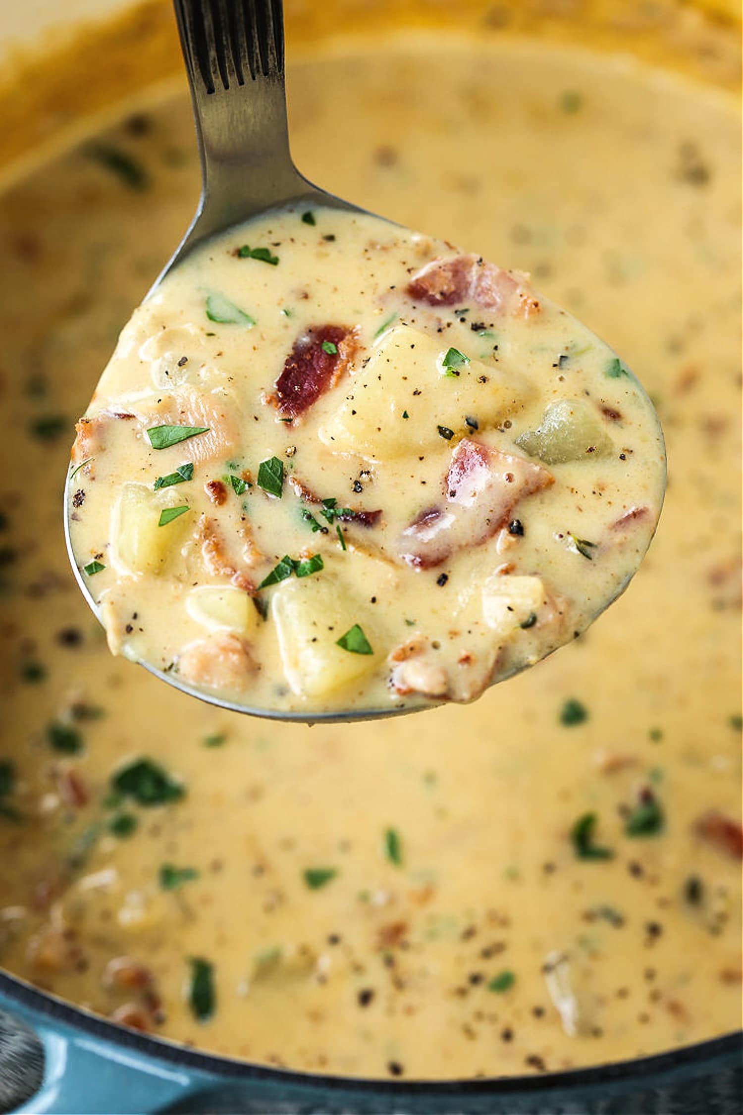 clam chowder in a ladle over a pot