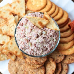 ham salad in a bowl with crackers all around