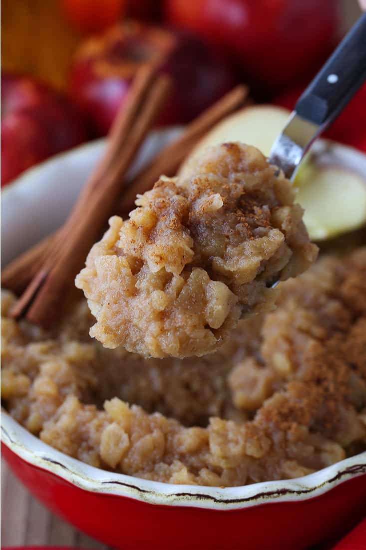 Homemade applesauce on a serving spoon with cinnamon