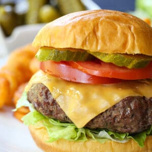 Homemade Hamburgers with toppings and french fries