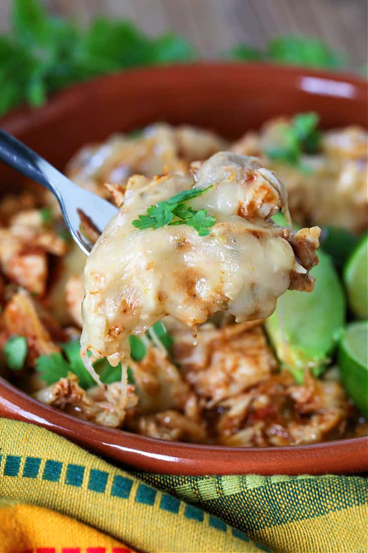 A fork with shredded chicken topped with cheese