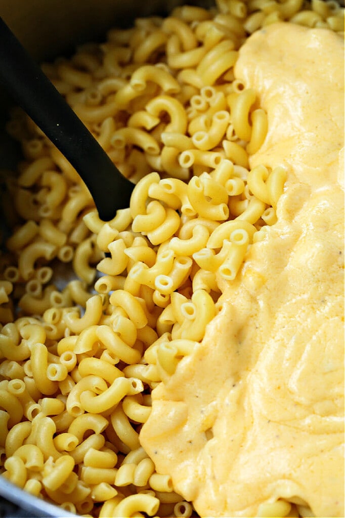 elbow macaroni with cheese sauce