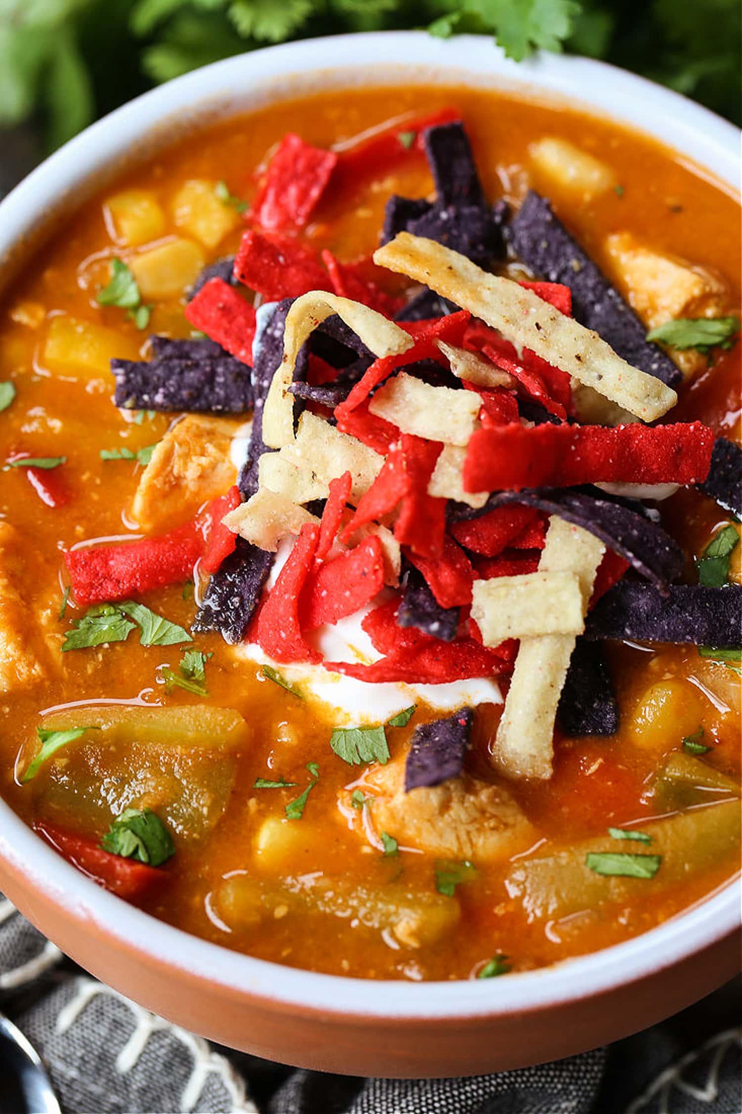chicken soup with peppers and tortilla strips