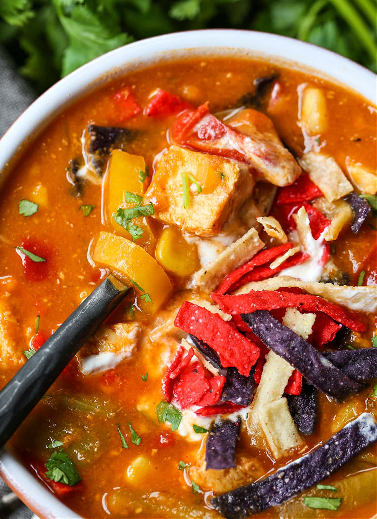 chicken fajita soup with spoon