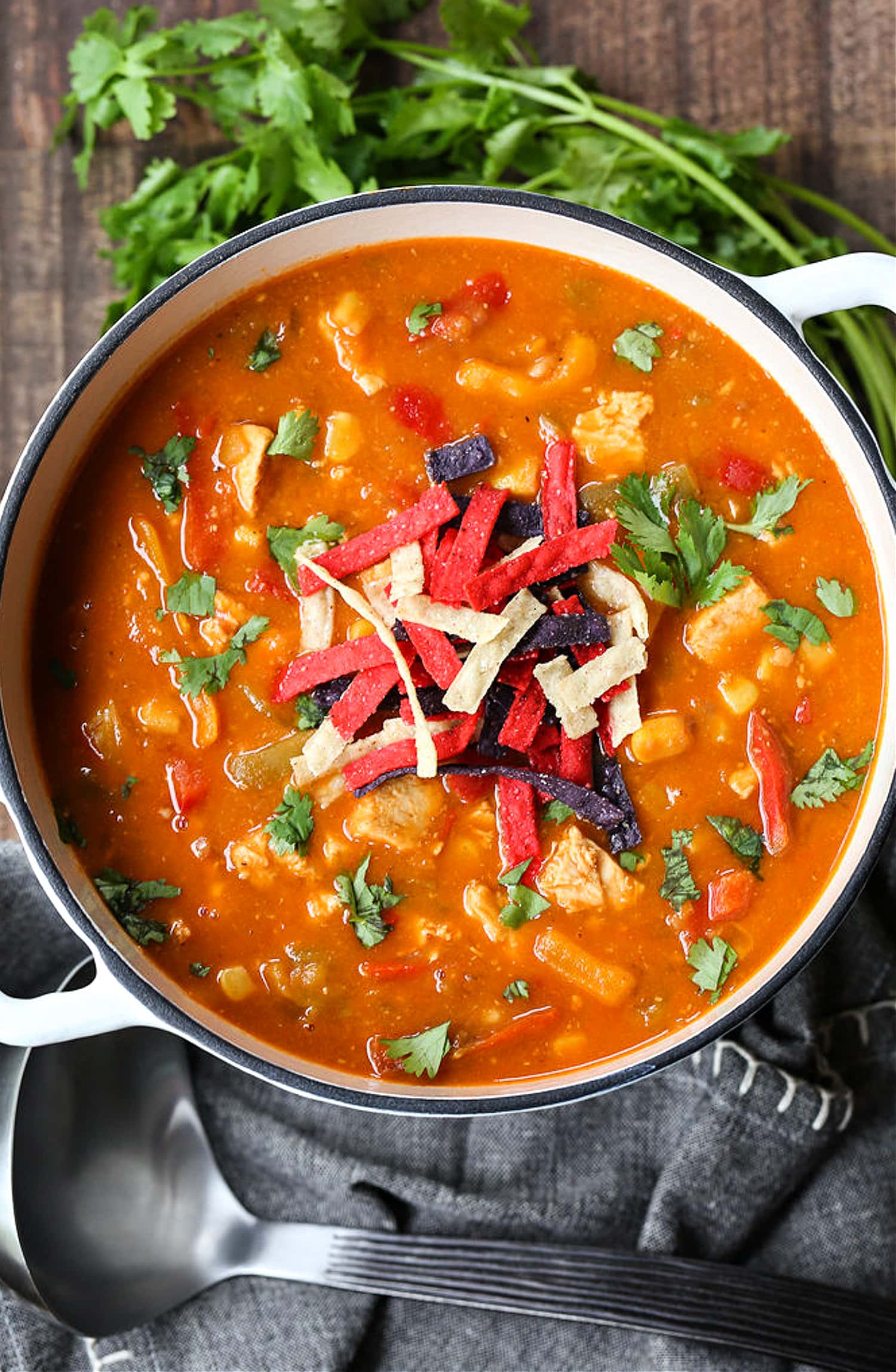 chicken fajita soup in pot with cilantro