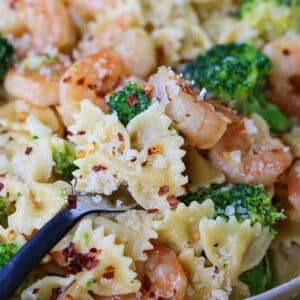 shrimp and brocoli pasta recipe with lemon cream sauce