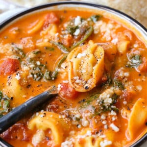 Creamy tomato soup with fresh tortellini and spinach