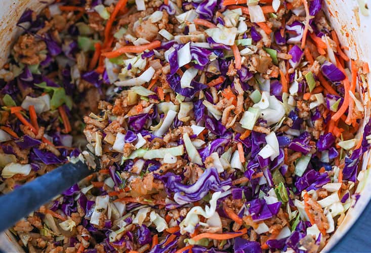 Ingredients for cabbage soup in a pot