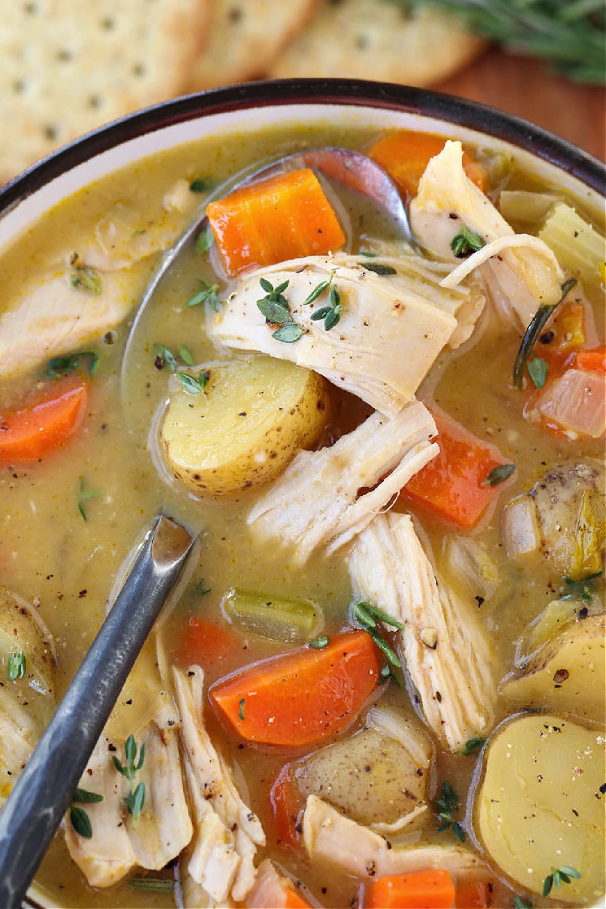 Chicken Stew in a bowl with spoon