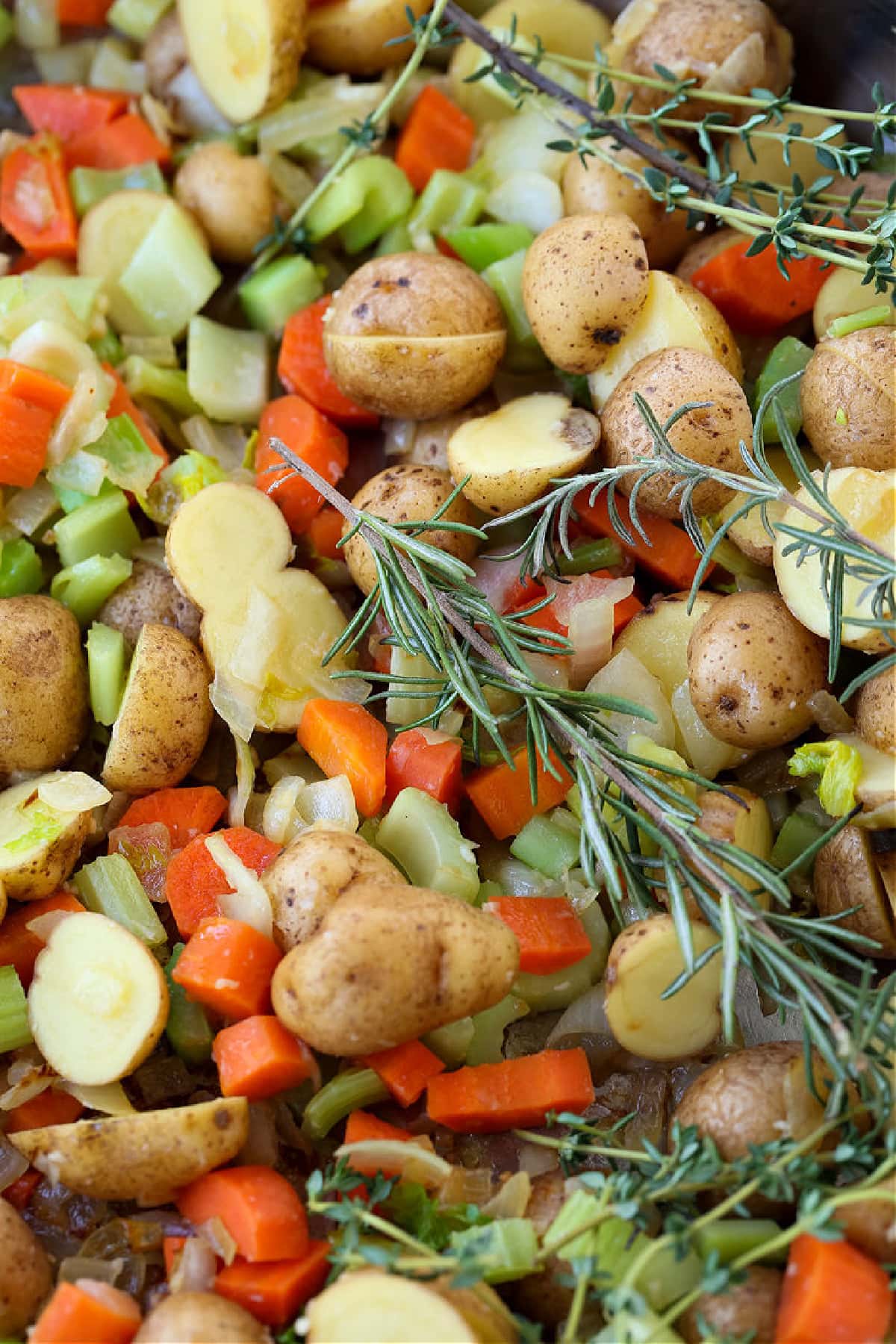 vegetables and fresh herbs in pot for making soup